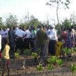 Mangroves Field visit